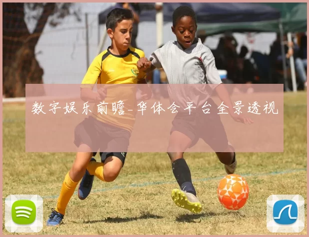 数字娱乐前瞻_华体会平台全景透视