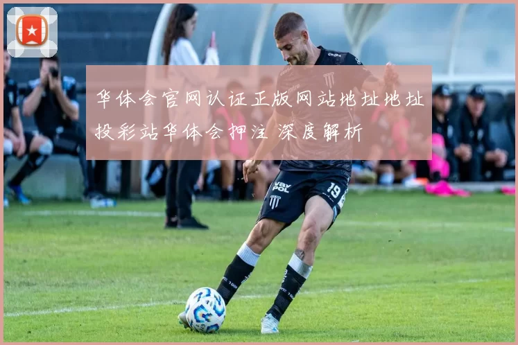 华体会官网认证正版网站地址地址投彩站华体会押注 深度解析