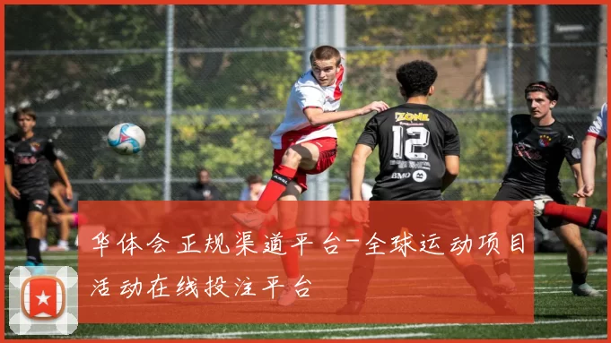 华体会正规渠道平台-全球运动项目活动在线投注平台