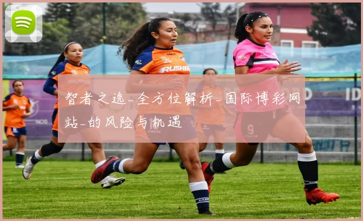 智者之选_全方位解析_国际博彩网站_的风险与机遇