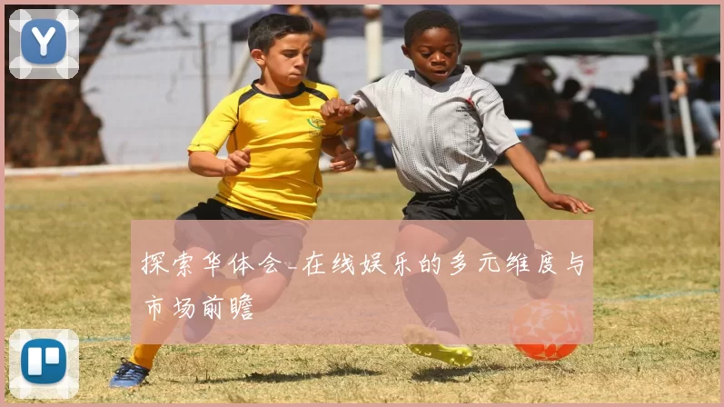 探索华体会_在线娱乐的多元维度与市场前瞻