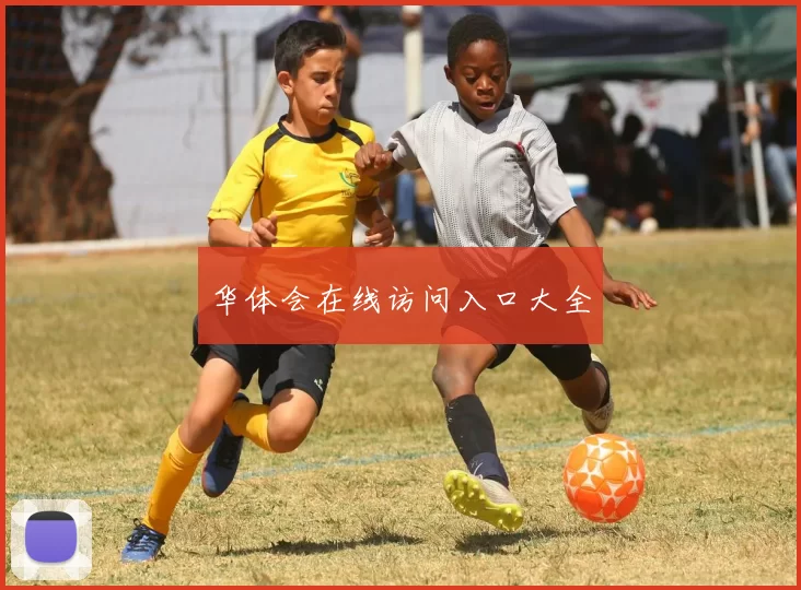 华体会在线访问入口大全