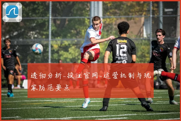 透彻分析_投注官网_运营机制与玩家防范要点