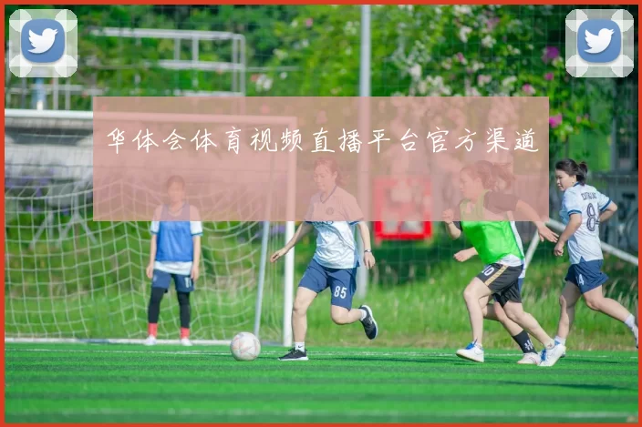 华体会体育视频直播平台官方渠道