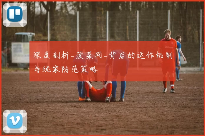 深度剖析_菠菜网_背后的运作机制与玩家防范策略