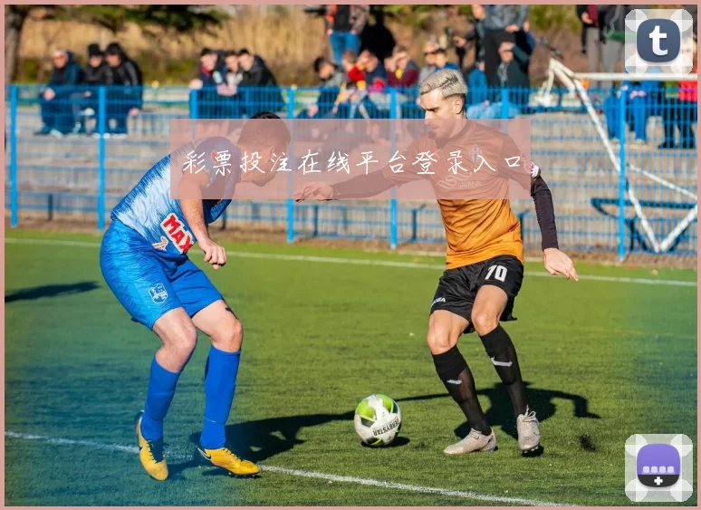 彩票投注在线平台登录入口
