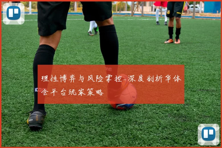 理性博弈与风险掌控_深度剖析华体会平台玩家策略