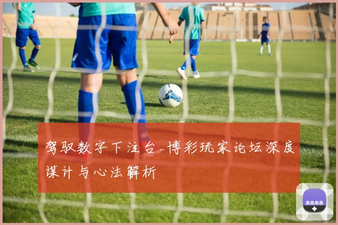 驾驭数字下注台_博彩玩家论坛深度谋计与心法解析