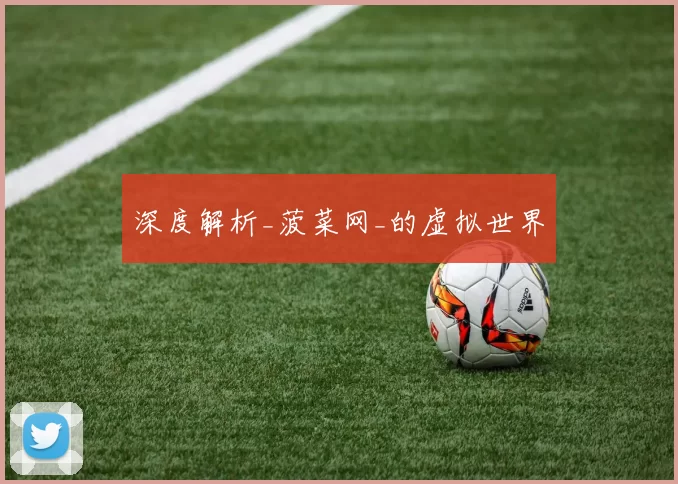 深度解析_菠菜网_的虚拟世界