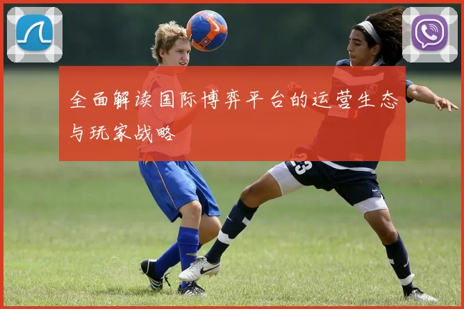 全面解读国际博弈平台的运营生态与玩家战略