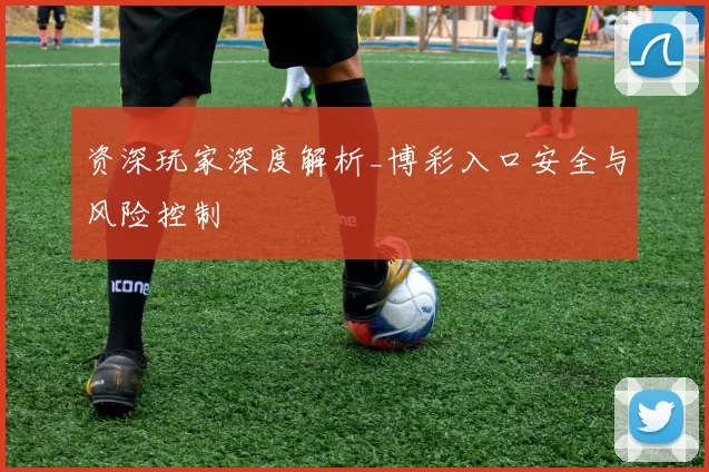 资深玩家深度解析_博彩入口安全与风险控制