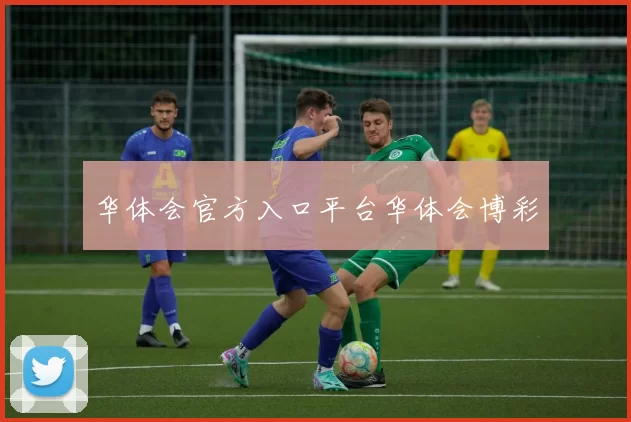 华体会官方入口平台华体会博彩