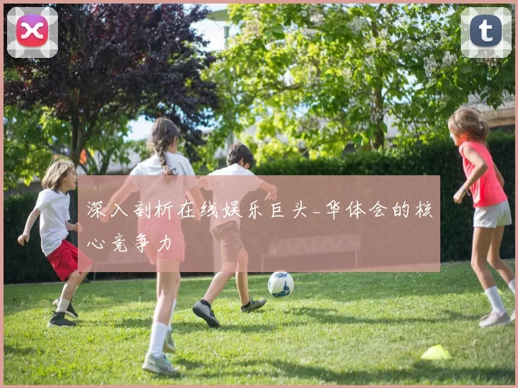 深入剖析在线娱乐巨头_华体会的核心竞争力