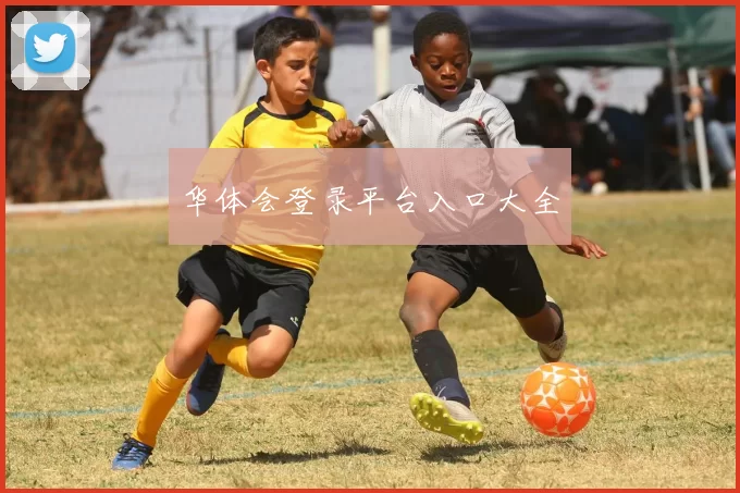 华体会登录平台入口大全